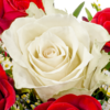 Rosenstrauß Romeo mit Vase & Ferrero Giotto 3er