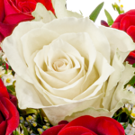 Rosenstrauß Romeo mit Vase & Ferrero Giotto 3er