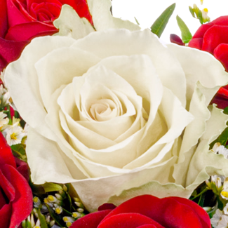 Rose Bouquet Romeo with vase & 3 Ferrero Giotto