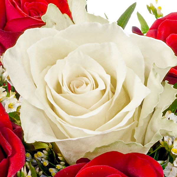 Rose Bouquet Romeo mit vase & 2 Ferrero Rocher