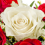Rosenstrauß Romeo mit Vase & Ferrero Giotto 3er