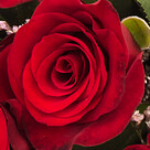 15 rote Fairtrade Rosen im Bund mit Limonium mit Vase & 2 Ferrero Rocher