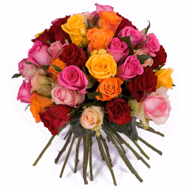 Bouquet of mixed coloured roses