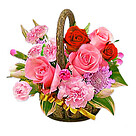 Flower Basket Blütenstar