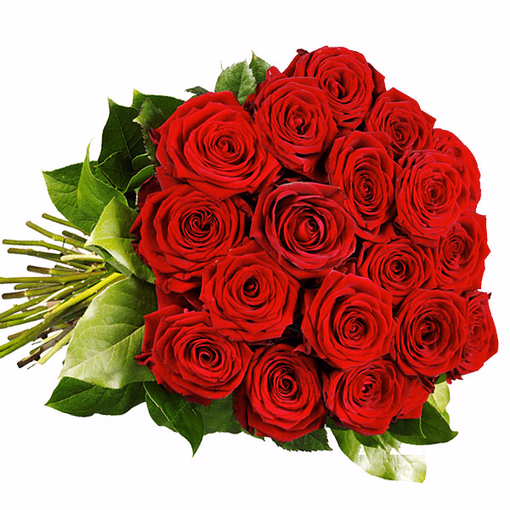 Red Premium roses