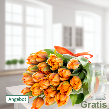 20 orange Tulpen im Bund 20 orange Tulpen im Bund
