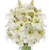 Lilies in a bunch