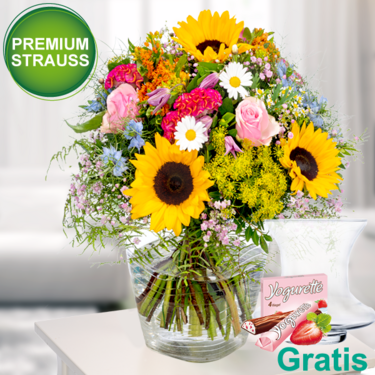 Premium Sommerfestival Premium Sommerfestival