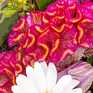 Premium Bouquet Sommerfestival with premium vase