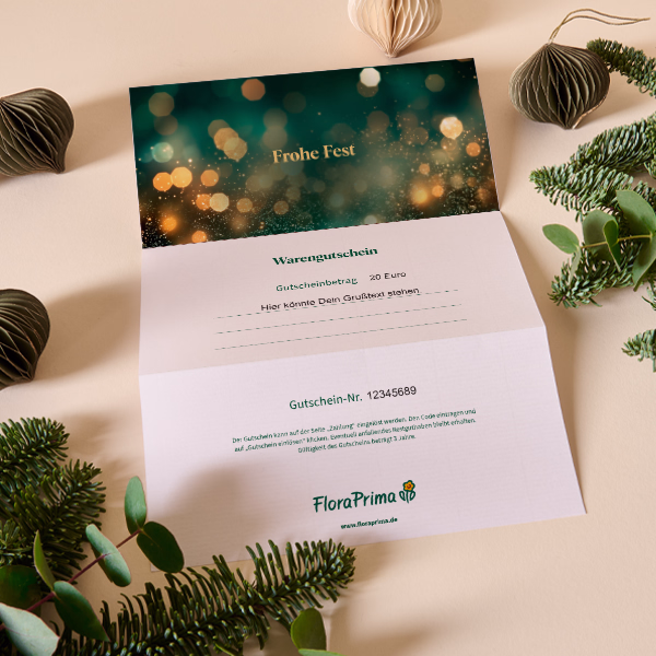 Digital Gift Certificate „Frohes Fest“