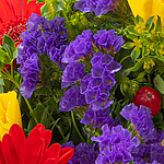 Blumenstrauß Blütenfee mit Vase