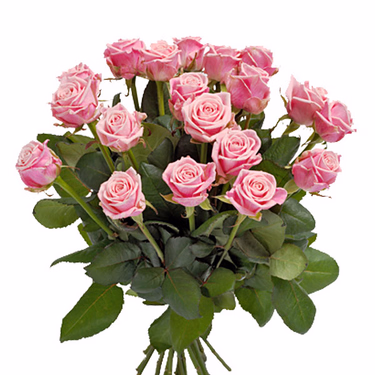 Rosa Rosenstrauß