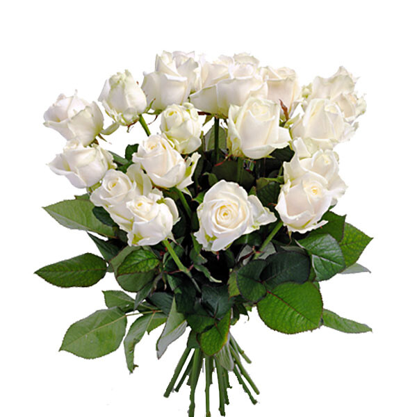 Bouquet of white roses