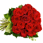 Rote Premiumrosen