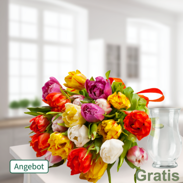 20 bunte Papageien-Tulpen 20 bunte Papageien-Tulpen