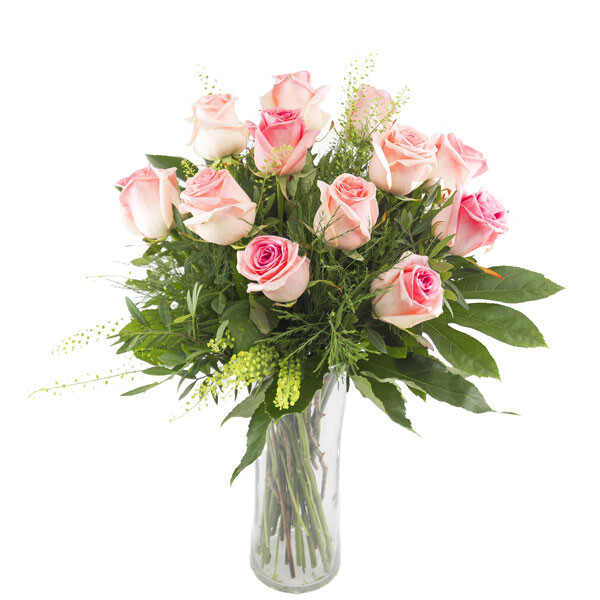 12 pink roses