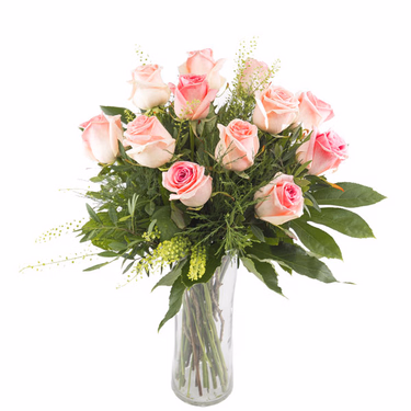 12 pinke Rosen