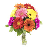 Flower Bouquet Gerbera Dream