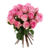 Rosa Rosen im Bund