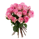 Rosa Rosen im Bund