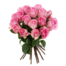 Rosa Rosen im Bund