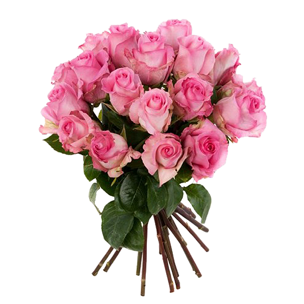 Pink Roses in a bunch