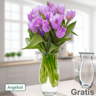 frisch gebunden 20 lila Tulpen im Bund mit Vase