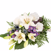 Liegestrauß Liebevoller Gruß