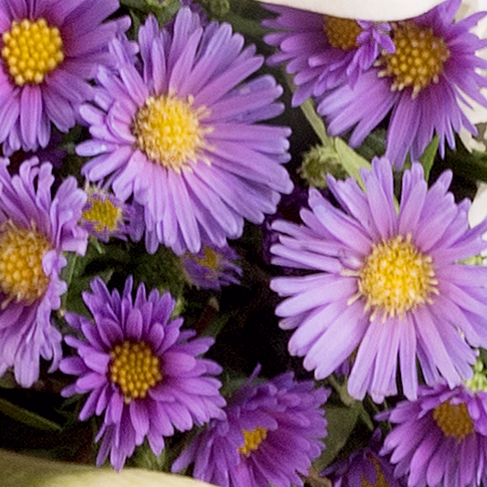 Sympathy Bouquet Liebevoller Gruß