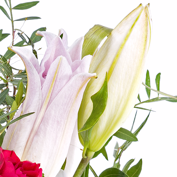 3 rosa Lilien