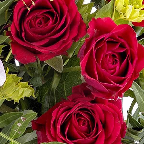 3 rosa Lilien