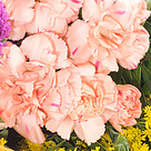 Blumenstrauß Farbenspiel mit Vase & 2 Ferrero Rocher