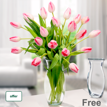 freshly tied 20 light pink tulips in a bunch with Vase