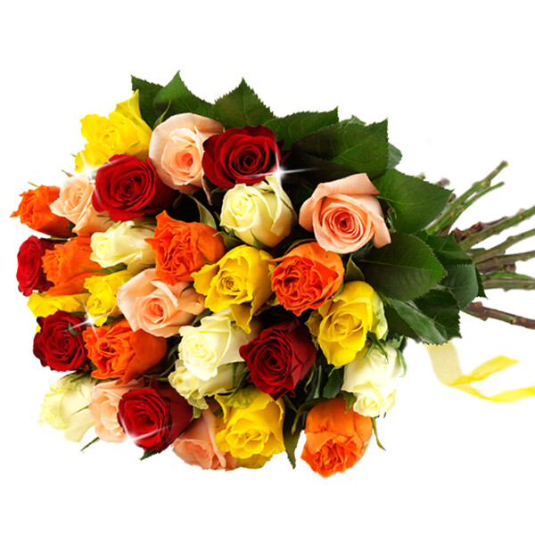 Bunte Rosen im Bund Lieferung Schweiz Blumen online nach Schweiz