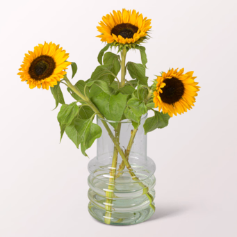 3 Sunflowers