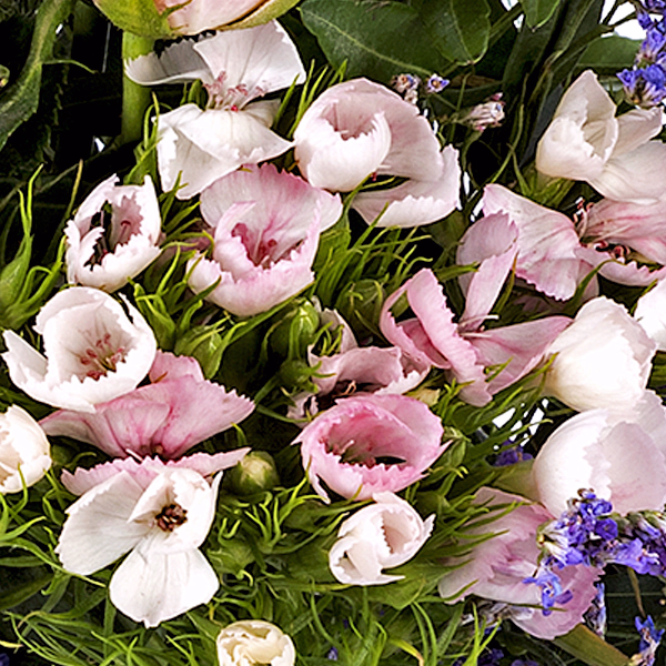 3 Sonnenblumen
