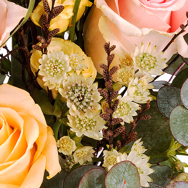 3 rosa Schleierkraut-Stengel
