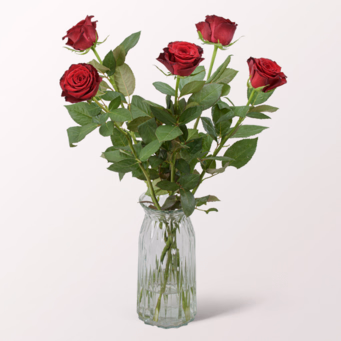 5 red Premium Roses