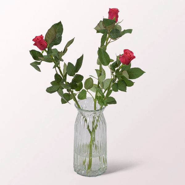 3 pinke, langstielige Rosen (60 cm)