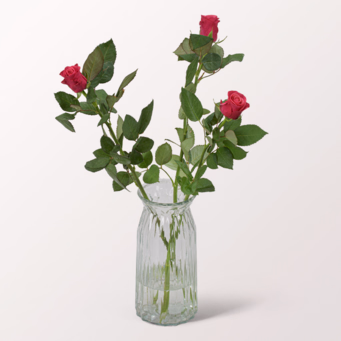3 pinke, langstielige Rosen (60 cm)