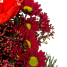 Flower Bouquet Weihnachten with vase & 2 Ferrero Rocher