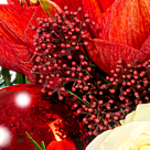 Blumenstrauß Weihnachten mit Vase & 2 Ferrero Rocher