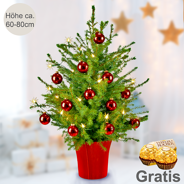 Weihnachtsbaum Holiday mit Lichterkette & mit 2 Ferrero Rocher