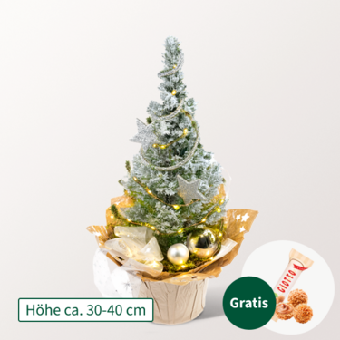Weihnachtsbaum Sternenglanz mit Lichterkette mit Ferrero Giotto 3er