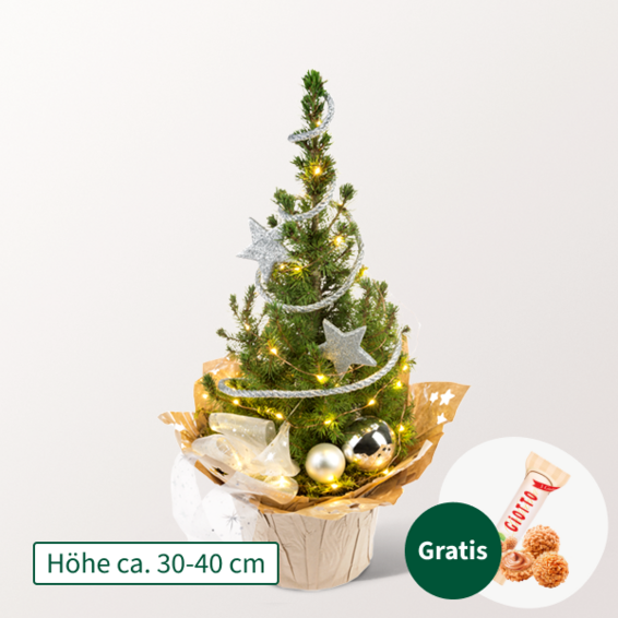Weihnachtsbaum Sternenglanz mit Lichterkette & mit Ferrero Giotto 3er