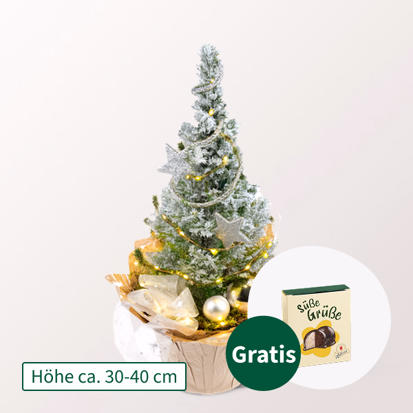 Weihnachtsbaum Sternenglanz mit Lichterkette & mit Halloren Kugeln