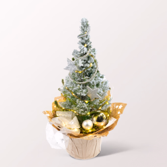 Weihnachtsbaum Sternenglanz mit Lichterkette & mit Halloren Kugeln