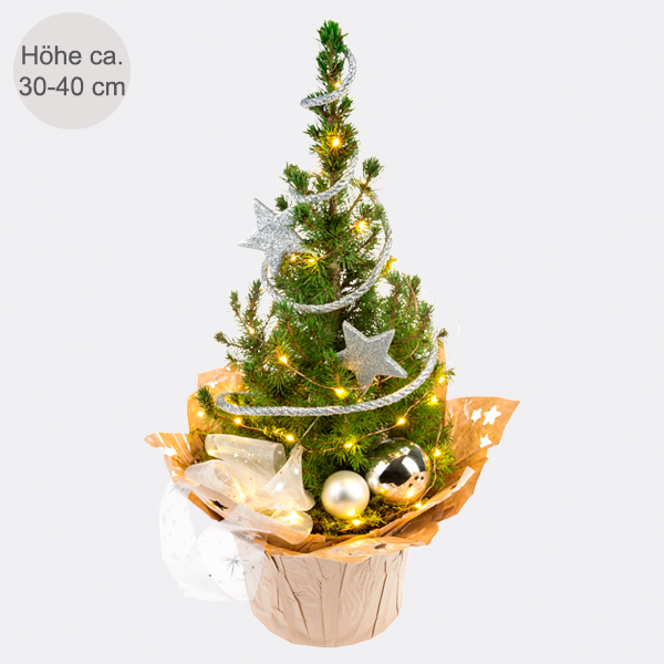 Weihnachtsbaum Sternenglanz mit Lichterkette