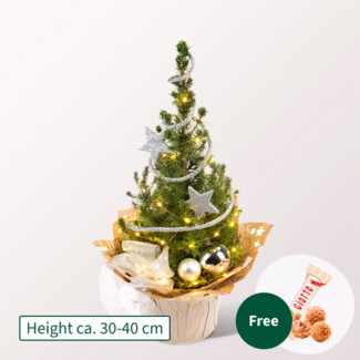 X-Mas Tree Sternenglanz with X-Mas lights with 3 Ferrero Giotto