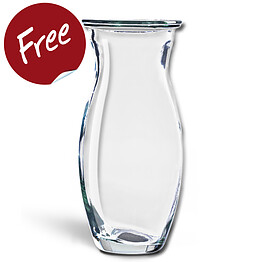 Glass Vase Jessika